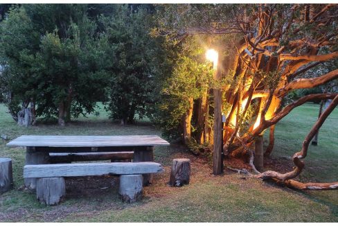 16 sector de asado