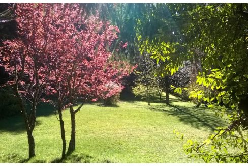 8c Jardín en primavera