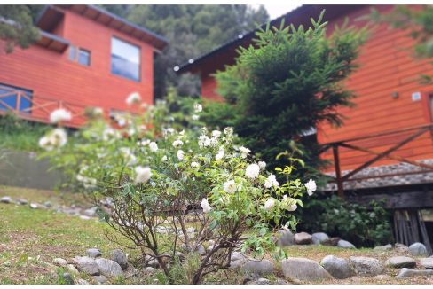 2a60ad4b-eeb5-4b0e-9289-89cf7ddf3f1c-copied-media~2