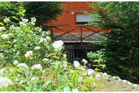 69a4fc73-e364-4501-ba64-4c2c0f433358-copied-media~2