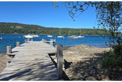 82bc4e02-0829-47dd-8c7c-24109d2dc7a3-copied-media~2