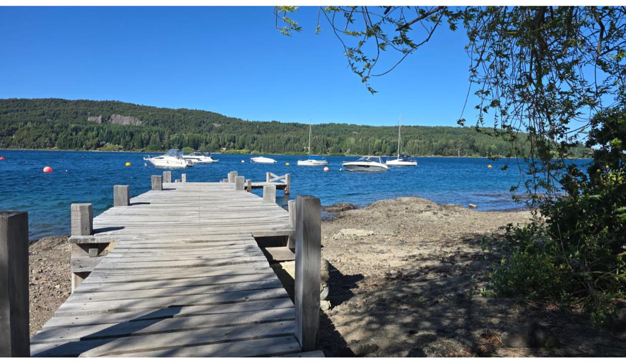 82bc4e02-0829-47dd-8c7c-24109d2dc7a3-copied-media~2