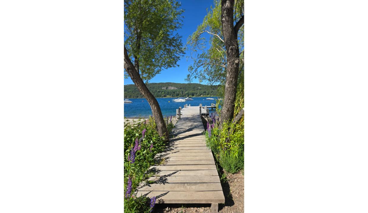 8847bcc7-580f-420f-95ea-f72d3ca8a752-copied-media~2