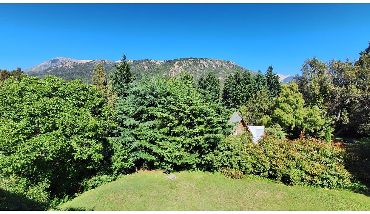 e4a37ebc-682d-46ea-b25e-664baef3e75f-copied-media~2