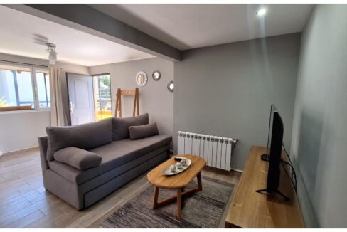 8c217bd4-2926-4aaa-ab91-aabd2c9c0c5e-copied-media~2