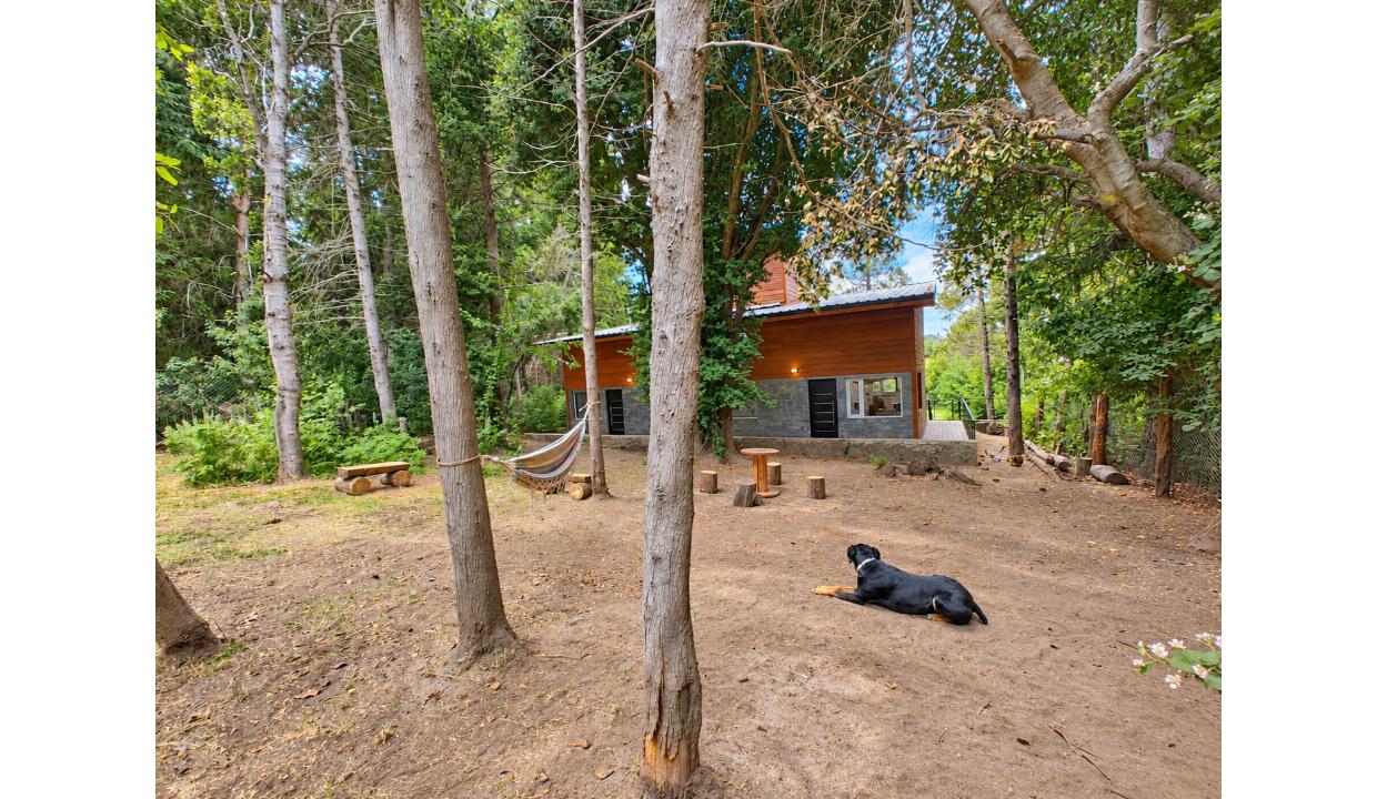 1c2426a8-d35f-48b2-939e-5af812551424
